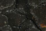 Polished Septarian Geode Heart - Black Crystals #134440-1